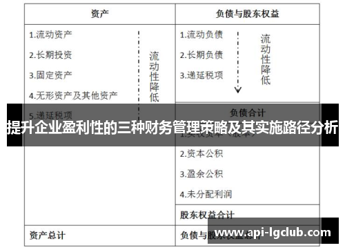 提升企业盈利性的三种财务管理策略及其实施路径分析