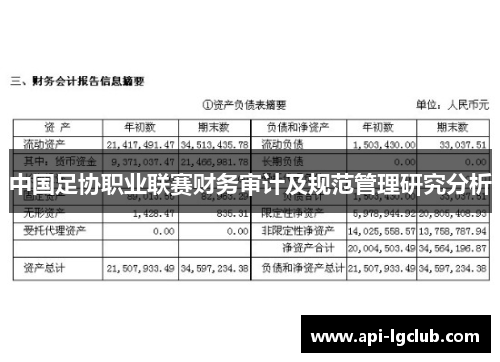 中国足协职业联赛财务审计及规范管理研究分析